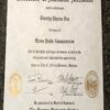 Buy college degree from The University of Montana