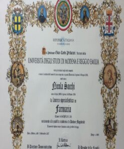 Università degli Studi di Modena e Reggio Emilia